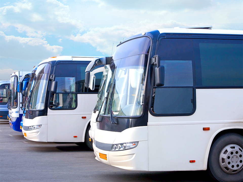tourist buses on parking