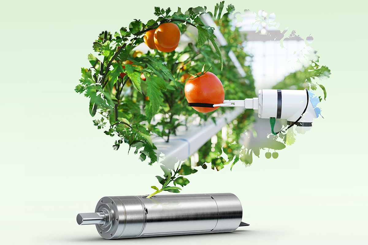 Robuust en efficiënt voor de beste opbrengst 1